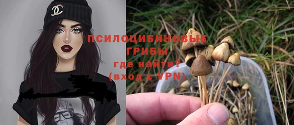 мяу мяу кристалл Горно-Алтайск