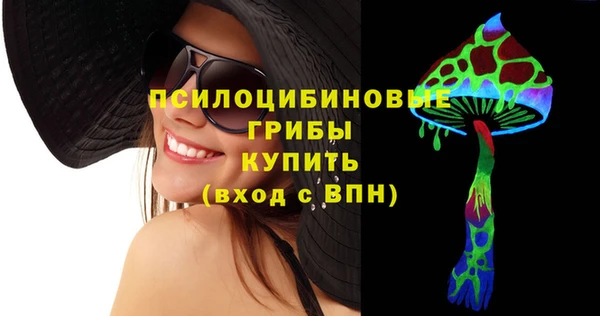 сатива Горнозаводск