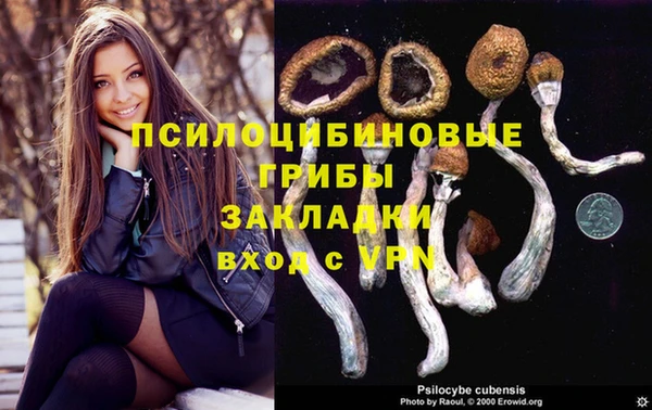 мяу мяу кристалл Горно-Алтайск