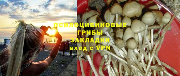 сатива Горнозаводск