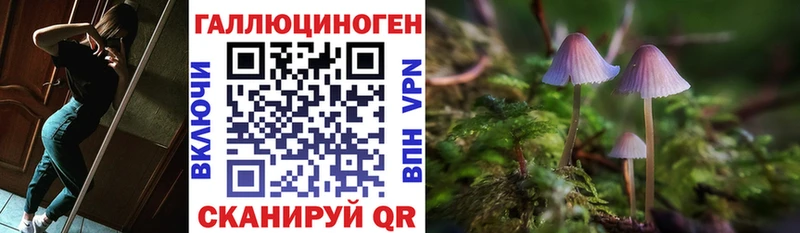 Купить закладки  Салаир  Галлюциногенные грибы GOLDEN TEACHER 